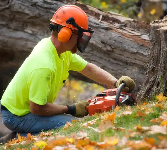 tree services Sterling